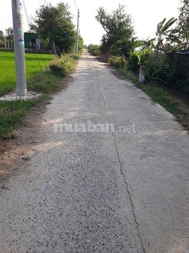 Cần bán đất trồng cây lâu năm xây nhà được 0364340843 Chị Này chínhchu