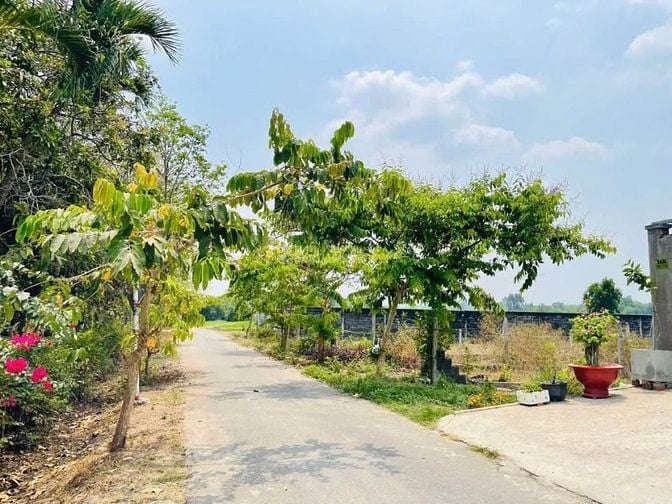 115M2 ĐẤT HIẾM CHỦ GỬI BÁN GẤP THU HỒI VỐN