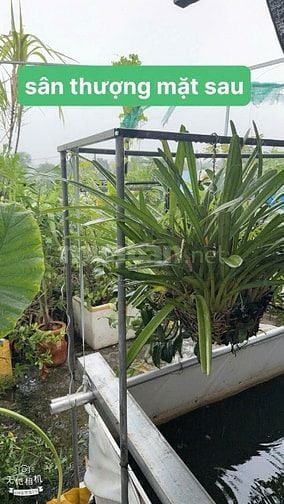 🔵 Bán nhà Quốc Lộ 50 thông Nguyễn Văn Linh liền kề Q8. (4x15) 3Lầu