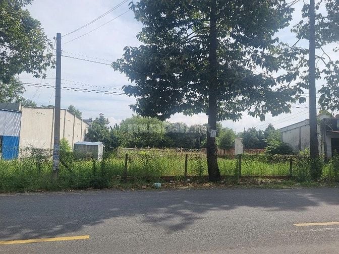 CHO THUÊ ĐẤT 1770M² PHÙ HỢP LÀM KHO BÃI/XƯỞNG – PHÚ MỸ
