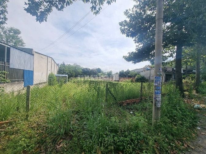 CHO THUÊ ĐẤT 1770M² PHÙ HỢP LÀM KHO BÃI/XƯỞNG – PHÚ MỸ