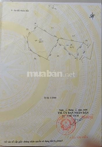 Bán nhà, đất rẫy vườn cà phê, sầu riêng 4.2 tỷ, Chư Prông, Gia Lai.