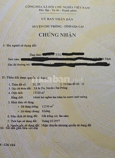 Bán nhà, đất rẫy vườn cà phê, sầu riêng 4.2 tỷ, Chư Prông, Gia Lai.