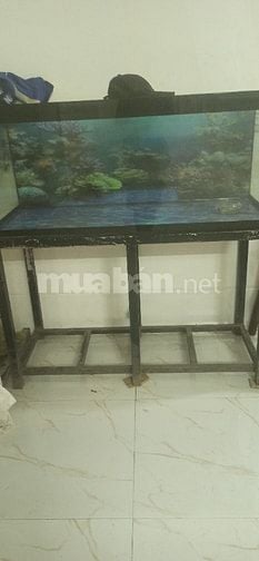 Hồ cá cảnh  đã qua sử dụng còn đẹp