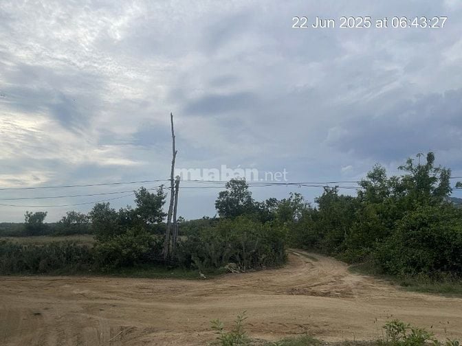 Bán 6640m2 giá 3,2 tỷ, sổ đỏ, gần khu du lịch Mũi Dinh, Ninh Thuận
