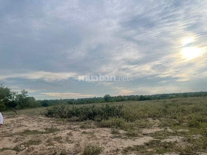 Bán 6640m2 giá 3,2 tỷ, sổ đỏ, gần khu du lịch Mũi Dinh, Ninh Thuận