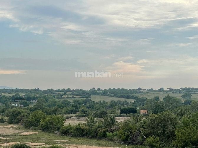 Bán 6640m2 giá 3,2 tỷ, sổ đỏ, gần khu du lịch Mũi Dinh, Ninh Thuận
