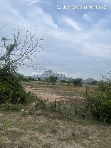 Bán 6640m2 giá 3,2 tỷ, sổ đỏ, gần khu du lịch Mũi Dinh, Ninh Thuận