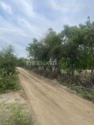 Bán 6640m2 giá 3,2 tỷ, sổ đỏ, gần khu du lịch Mũi Dinh, Ninh Thuận