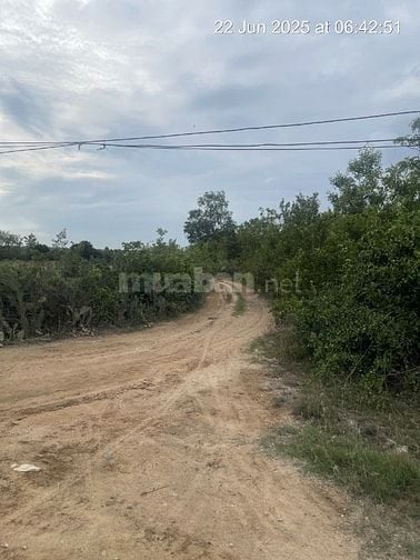 Bán 6640m2 giá 3,2 tỷ, sổ đỏ, gần khu du lịch Mũi Dinh, Ninh Thuận