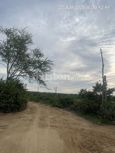 Bán 6640m2 giá 3,2 tỷ, sổ đỏ, gần khu du lịch Mũi Dinh, Ninh Thuận