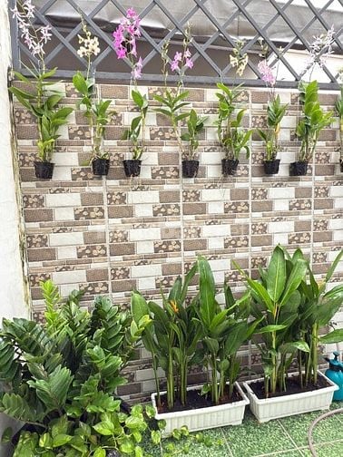 Chính Chủ Bán Nhà Phố khu Compound, Trần Não, Q.2, 103m2, 3 lầu 18,1tỷ