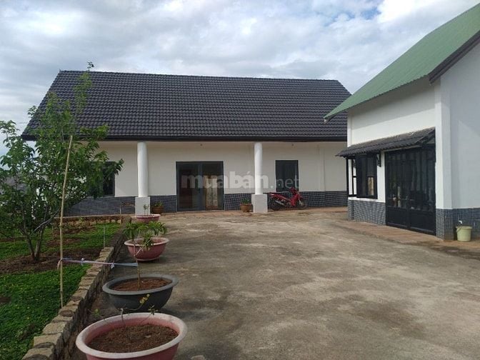Biệt thự nghỉ dưỡng TDP Chi Lăng, TT Nam Ban, H.Lâm Hà, Lâm Đồng