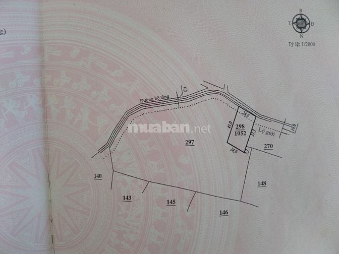 Biệt thự nghỉ dưỡng TDP Chi Lăng, TT Nam Ban, H.Lâm Hà, Lâm Đồng