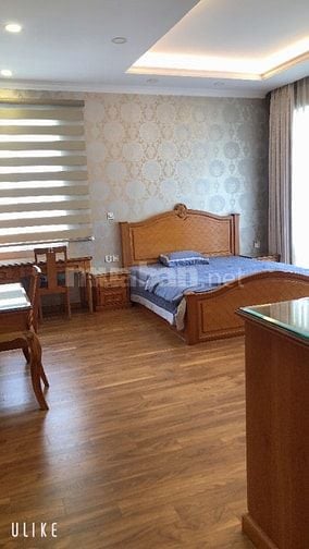 Cho thuê Biệt Thự đơn lập Mỹ Văn đường lớn giá 90 triệu