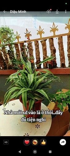 Cho thuê nhà gỗ vẹn đà lạt nghĩ dưỡng