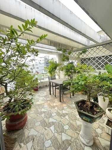 🏠 BÁN NHÀ LÝ TỰ TRỌNG - QUẬN 1 - 3 TỶ 750 – SẴN HỢP ĐỒNG THUÊ 20TR/TH