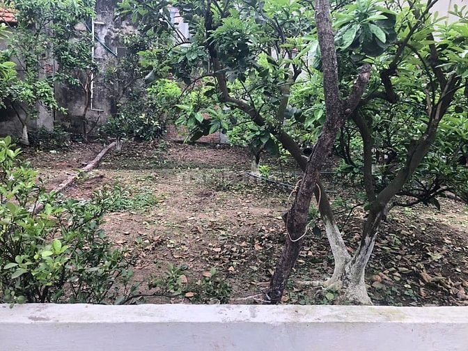 Vị trí vàng trong làng BĐS . Bứt phá trong tương lai. Hạ tầng đồng bộ.