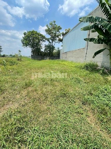 CẦN BÁN GẤP ĐẤT THỔ CƯ 337m2 ĐƯỜNG NGUYỄN THỊ CẨM , XÃ TÂN PHÚ TRUNG