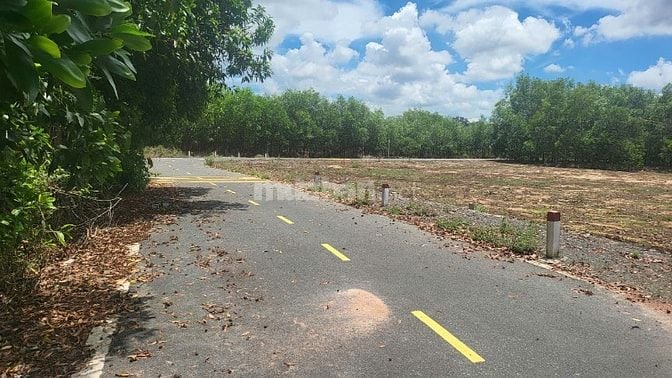  BÁN ĐẤT MẶT TIỀN ĐƯỜNG ĐẸP  XÃ LONG TÂN, HUYỆN ĐẤT ĐỎ, BÀ RỊA - VŨNG 
