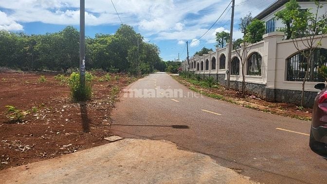  BÁN ĐẤT MẶT TIỀN ĐƯỜNG ĐẸP  XÃ LONG TÂN, HUYỆN ĐẤT ĐỎ, BÀ RỊA - VŨNG 