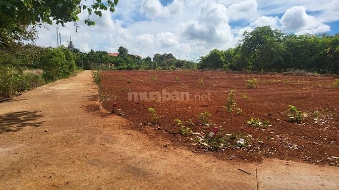  BÁN ĐẤT MẶT TIỀN ĐƯỜNG ĐẸP  XÃ LONG TÂN, HUYỆN ĐẤT ĐỎ, BÀ RỊA - VŨNG 
