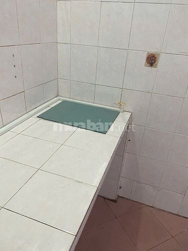 Cho thuê nhà CC Ngô Gia Tự, 4tr8, 45m2 vào o ngay