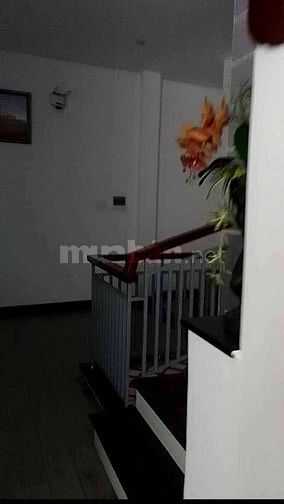 Nhà Kiểu Homestay phố Lý Thái Tổ Đà Nẵng 