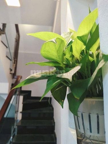 Bán nhà riêng chính chủ đường Ba Vì, Quận 10. Hẻm thông. Gần công viên