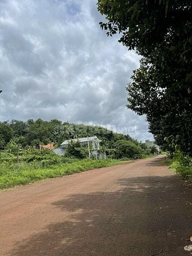 CÔNG TY ĐẤU GIÁ HỢP DANH MINH PHÁP THÔNG BÁO ĐẤU GIÁ TÀI SẢN