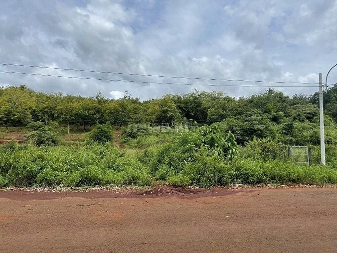 CÔNG TY ĐẤU GIÁ HỢP DANH MINH PHÁP THÔNG BÁO ĐẤU GIÁ TÀI SẢN