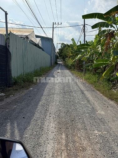 Bán Đất Kênh 10,Lê Minh Xuân,BChánh.Dtích:35mx30m=1000m2đất CLN 3.7tỷ