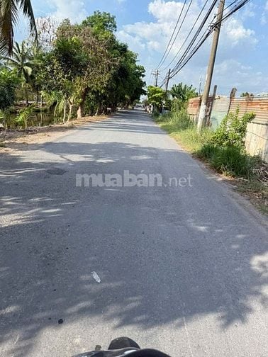 Bán Đất Kênh 10,Lê Minh Xuân,BChánh.Dtích:35mx30m=1000m2đất CLN 3.7tỷ