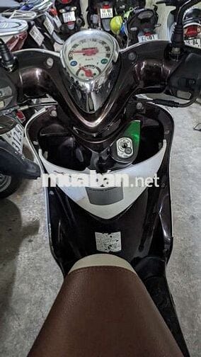 Mio classico 2012