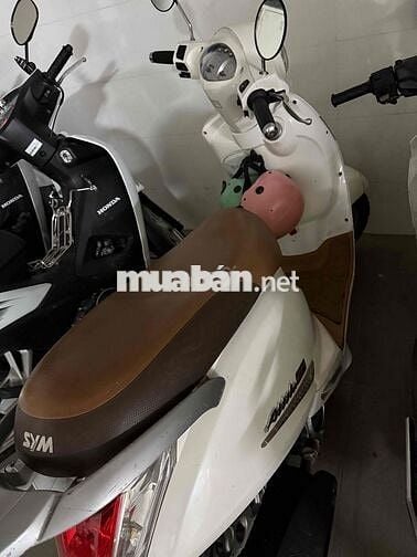 Xe Gia Đình Cần Thanh Lý