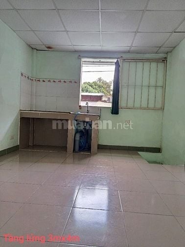 Nhà nguyên căn cho thuê, phường 11, quận Tân Bình