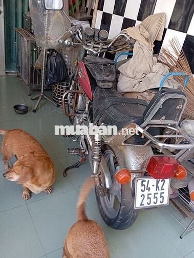 Xe mô tô custom 125