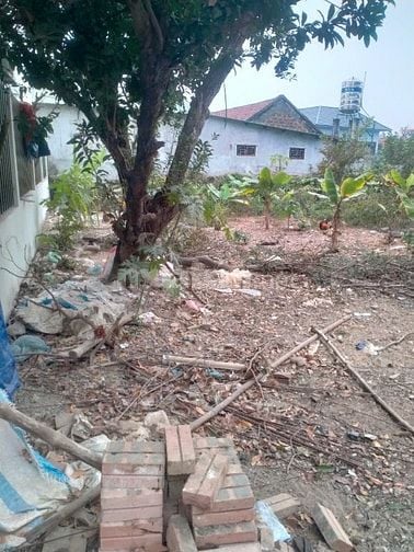 Mảnh đất 320m2 vuông vắn siêu đẹp tại Đoài Giáp, Đường Lâm, Hà Nội