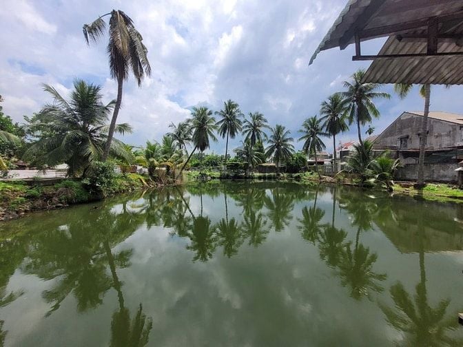 Bán đất có nhà, 2 mặt tiền – gần QL1A – Trung Hòa, Trảng Bom – 2.641m²