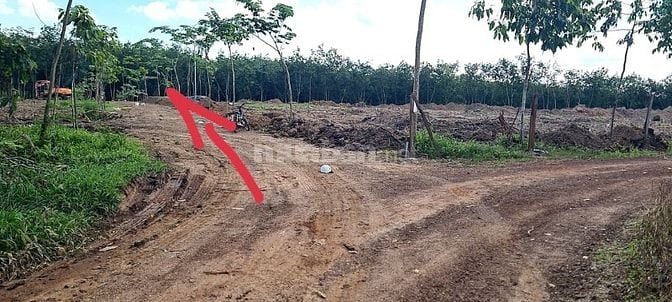 Cho thuê đất trống CLN tại Xã An Long, Tp. Hồ Chí Minh giá 20tr DT 4,5