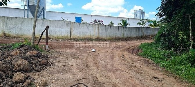 Cho thuê đất trống CLN tại Xã An Long, Tp. Hồ Chí Minh giá 20tr DT 4,5