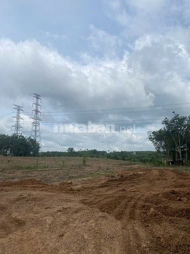 Cho thuê đất trống CLN tại Xã An Long, Tp. Hồ Chí Minh giá 20tr DT 4,5