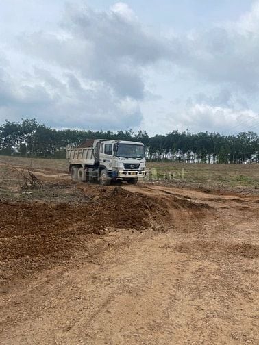 Cho thuê đất trống CLN tại Xã An Long, Tp. Hồ Chí Minh giá 20tr DT 4,5