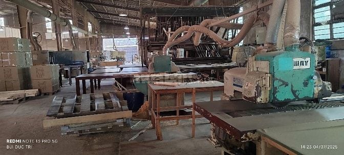 THANH LÝ TOÀN BỘ MÁY MÓC XƯỞNG GỖ XUẤT KHẨU