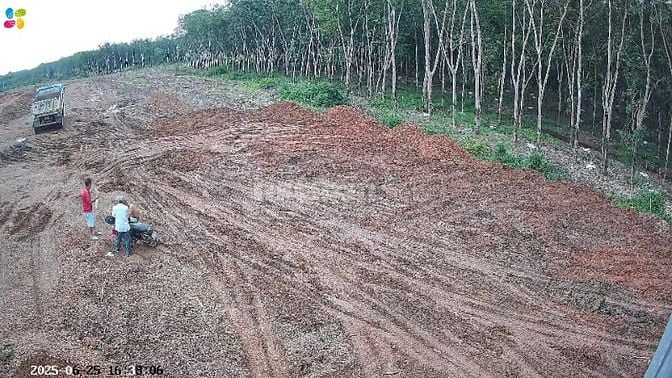 Cho thuê đất trống CLN tại Xã An Long, Tp. Hồ Chí Minh giá 20tr DT 4,5