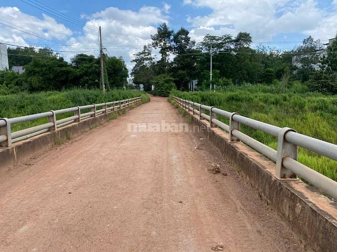 Cho thuê đất trống CLN tại Xã An Long, Tp. Hồ Chí Minh giá 20tr DT 4,5