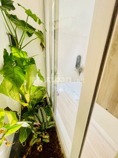 SIÊU PHẨM KO CÓ CĂN THỨ 2 ĐẸP HƠN 3pn 5.98 TỶ 