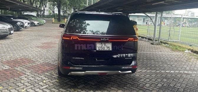 BÁN CARNIVAR như mới chưa lột tem.Xuất hóa đơn cty