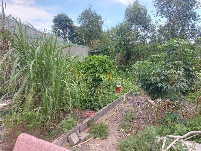 Cần bán gấp đất full thổ cư 115m2 (5x23m), TL 8, Phước Vĩnh An, Củ Chi