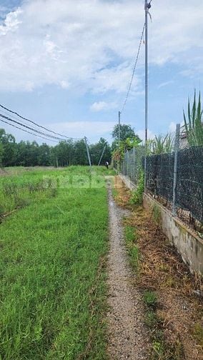 Công ty Đấu giá Hợp danh Sao Việt 